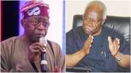 I challenge Tinubu to deny begging Abacha for appointment - Bode George