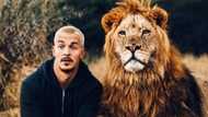 Lions ain't pets: Popular trainer Dean Schneider advises, shares video showing his experience
