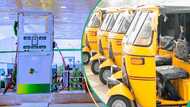 Nigerian government unveils 2,000 CNG-powered tricycles amid high petrol price