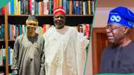 Yerima Shettima speaks on alleged reason Kwankwaso visited El-Rufai in Abuja