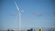Trump admin ends halt on New York offshore wind project