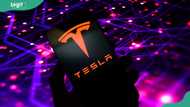Is Elon Musk's Tesla Pi phone real or just a rumour?
