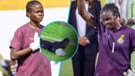 Black Princesses: Nigerians descend on Afi Amenyeku for wasting time, Ghanaians jump to her rescue