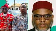 Cubana Chiefpriest blasts Deputy speaker over Nnamdi Kanu, shares what he should do about south-east