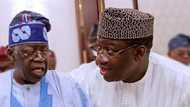 Tinubu will continue to dominate Nigeria’s political firmament - Fayemi
