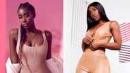 Bria Myles - a curvy ebony woman that is the dream of every man