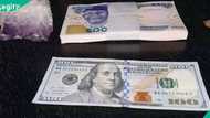 Naira: Nigeria’s FX supply rose 20.5% to $8.94bn in 2025