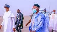 Why President Buhari travelled to Daura