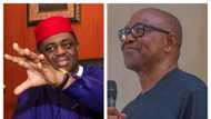 2023 election: Fani Kayode exposes Peter Obi’s plot to trigger tribal war, rolls out evidence