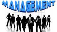 What are people management skills? Find out here and become a good specialist