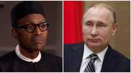 Boko Haram: Nigeria seeks Russia’s help to end insurgency