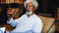 Nigeria is divided as never before under Buhari - Soyinka attacks president (full statement)