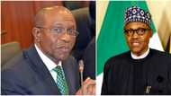 New survey shows Nigerians don't want CBN's digital currency