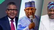 Dangote, Adenuga, 2 other Nigerian billionaires suffer massive losses in 2024