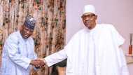 Senate presidency: Full details of Yari's visit to Buhari in Daura emerges