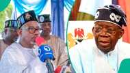 Gwamnan da ke bakar adawa da Tinubu ya bada mamaki da aka ji yana yabon shi