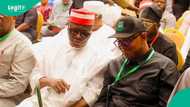 Mass defection to hit ADC as Kwankwaso, Peter Obi last day unveiled