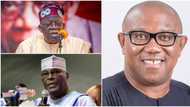 Atiku, Tinubu or Obi: Popular pastor releases outcome of election result, reveals what Nigerians should expect