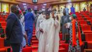 Southern senators announce decision on agitation for Yoruba nation, Biafra Republic
