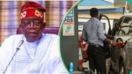 Fuel subsidy: Tinubu targets alternative fuel price of N250 per litre, sends message to Nigerians