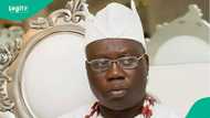 'How insecurity in Nigeria can be resolved within 6 months,' Gani Adams speaks