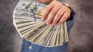 Experts warn of forex scams, lists things to watch out for