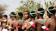 S.Africa's Zulus fete young women's purity amid royal succession spat