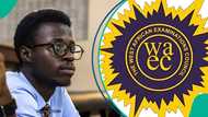 WAEC 2026: Man panics after checking his result, shows the grade he got in a major subject