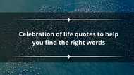 100 celebration of life quotes to help you find the right words