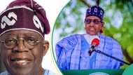 Don’t fail like Buhari, Afenifere tells Tinubu how to deal with terrorists