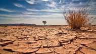 Famine alert: FG releases list of states, communities to experience drought in 2021