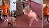 Cute little kid imitates grandpa who uses stick, walks like old man in funny video, many can't stop laughing