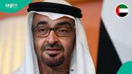 UAE announces 19 occupations that fall under domestic work, releases full list