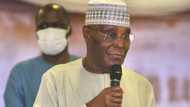 Atiku's aide faults Yoruba Muslim scholars' position on who should be Buhari’s successor