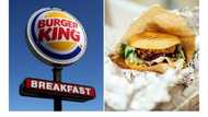 Another fast-food company, Burger King halts sales in Russia