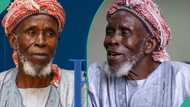 US marks 8 years since Nigerian Imam risked life to save hundreds of Christians
