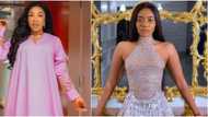 The grammatical errors are unforgiving: Tonto Dikeh slams Jane Mena’s lawyer for poorly written statement