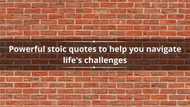 60 powerful stoic quotes to help you navigate life's challenges