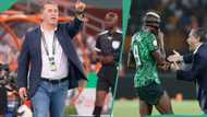 AFCON final: Algeria eyes Super Eagles coach Peseiro as NFF keeps mum on contract extension