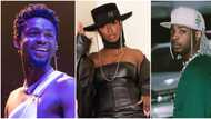Omah Lay, Young Jonn and other young male celebrities who have expressed love for Tiwa Savage