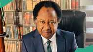 Shehu Sani reveals why Nigerians should pray during harmattan season