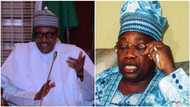 June 12: Why we're not happy with FG - MKO Abiola's family