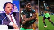 “Ignore Oshoala’s shirtless stunt”, Shehu Sani reveals what Nigerians should focus on after S/Falcons victory