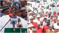 Aborted strike: 7 key agreements Tinubu’s govt sealed with NLC, TUC