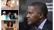 Nigerians lead the List of richest black people in the world