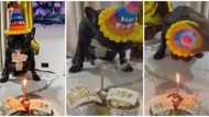 Video of Nigerian family hosting birthday celebration for their dog as it clocked one sparks mixed reactions