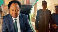 “If this country must move forward”: Shehu Sani warns Tinubu of 1 Buhari’s mistake he must not make