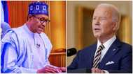 Buhari's minister drops another bombshell, says APC has done more than US govt