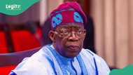 Nigeria set to access more infrastructure financing, joins Asian Infrastructure Investment Bank