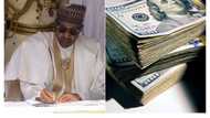 Nigeria $149.32 billion: Top African countries with savings in US dollars